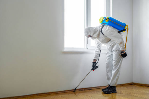 Best Termite Control Services  in Hudson, MI